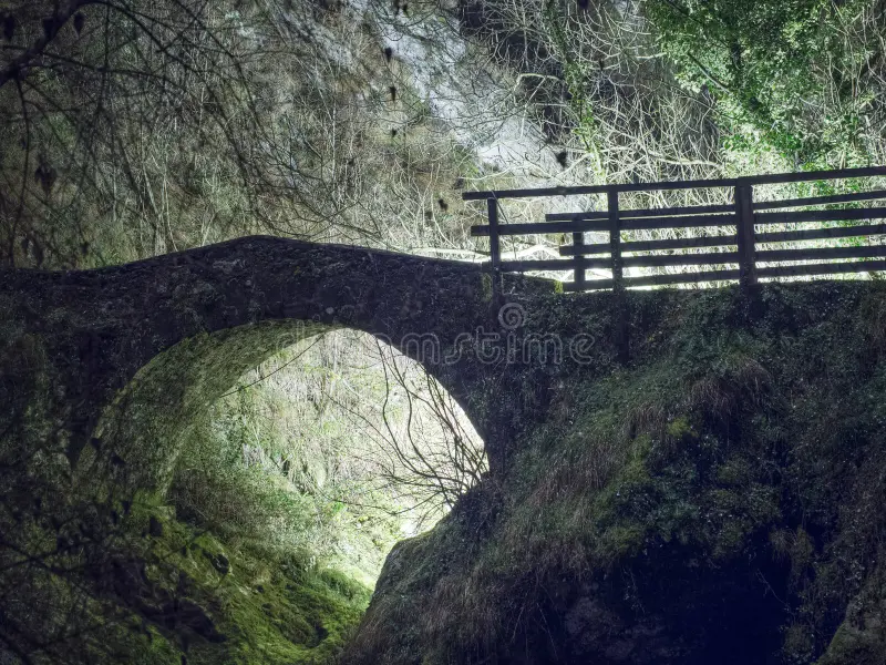 Las Voces del Puente Viejo